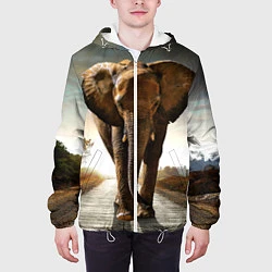 Куртка с капюшоном мужская Дикий слон, цвет: 3D-белый — фото 2