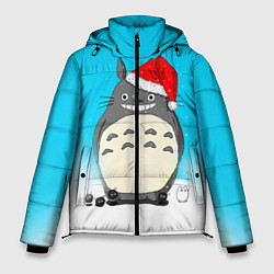 Мужская зимняя куртка Тоторо под снегом