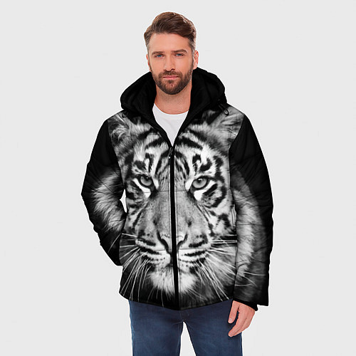 Мужская зимняя куртка Мордочка тигра / 3D-Черный – фото 3