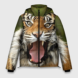 Мужская зимняя куртка Удивленный тигр