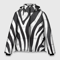 Мужская зимняя куртка Африканская зебра