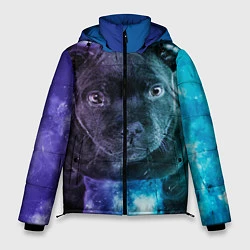 Куртка зимняя мужская Милый пёс, цвет: 3D-черный