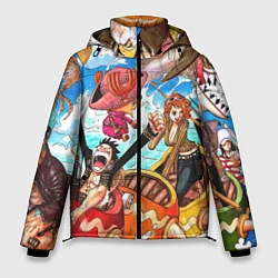 Мужская зимняя куртка One Piece
