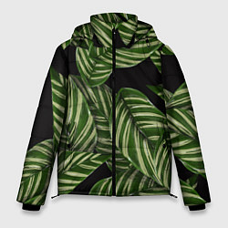 Куртка зимняя мужская Тропические большие листья, цвет: 3D-черный