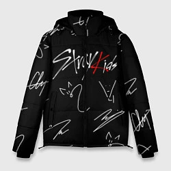 Куртка зимняя мужская STRAY KIDS, цвет: 3D-черный
