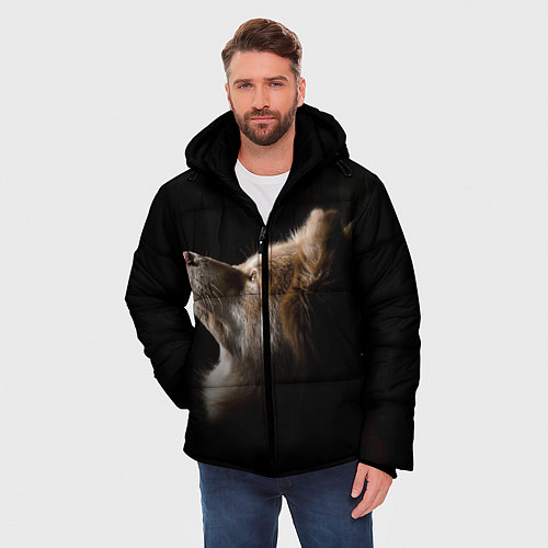 Мужская зимняя куртка Пес / 3D-Черный – фото 3