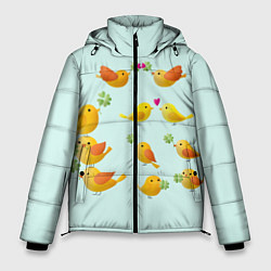 Куртка зимняя мужская Птицы, цвет: 3D-черный