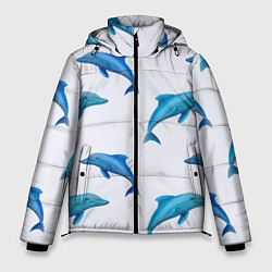 Куртка зимняя мужская Рай для дельфина, цвет: 3D-черный