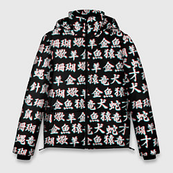 Куртка зимняя мужская ИЕРОГЛИФЫ ГЛИТЧ, цвет: 3D-черный