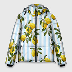 Куртка зимняя мужская Лимоны, цвет: 3D-светло-серый