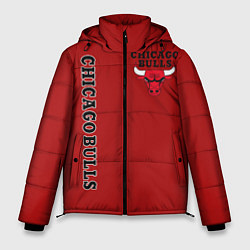 Куртка зимняя мужская CHICAGO BULLS, цвет: 3D-красный