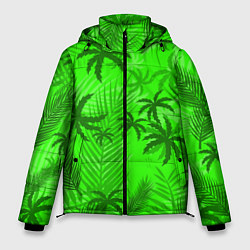Куртка зимняя мужская ПАЛЬМЫ ЛЕТО TROPICAL, цвет: 3D-светло-серый