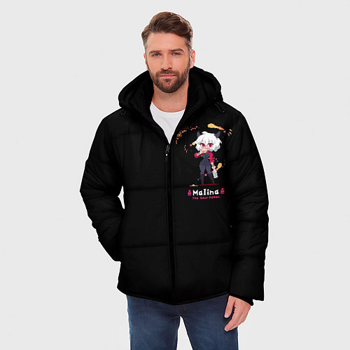 Мужская зимняя куртка MALINA / 3D-Черный – фото 3