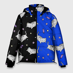 Куртка зимняя мужская КИСЫ, цвет: 3D-светло-серый