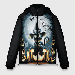 Куртка зимняя мужская Хэллоуин Кот, цвет: 3D-черный