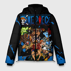 Куртка зимняя мужская One Piece, цвет: 3D-светло-серый