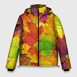 Мужская зимняя куртка Осенние листья