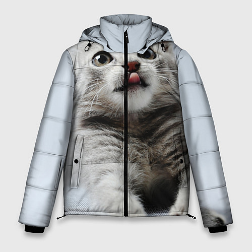Мужская зимняя куртка Серый котенок / 3D-Красный – фото 1