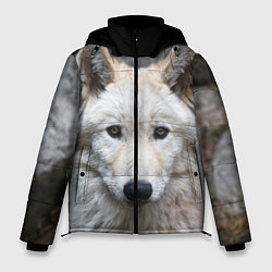 Куртка зимняя мужская Волк, цвет: 3D-черный
