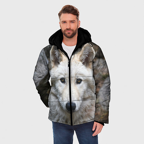 Мужская зимняя куртка Волк / 3D-Черный – фото 3