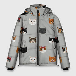 Куртка зимняя мужская Кошечки, цвет: 3D-черный