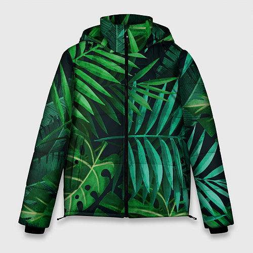 Мужская зимняя куртка Сочные тропики / 3D-Светло-серый – фото 1