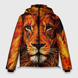 Куртка зимняя мужская LION, цвет: 3D-черный