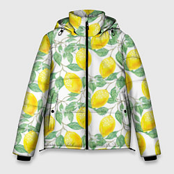 Куртка зимняя мужская Лимоны 3d, цвет: 3D-черный