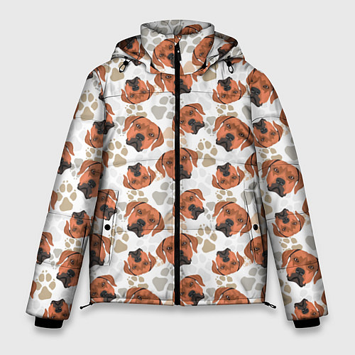 Мужская зимняя куртка Собака Родезийский Риджбек / 3D-Светло-серый – фото 1