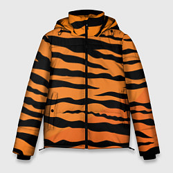 Мужская зимняя куртка Шкура тигра вектор
