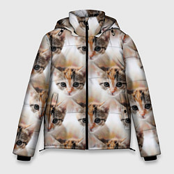 Куртка зимняя мужская Маленький котенок паттерн, цвет: 3D-черный