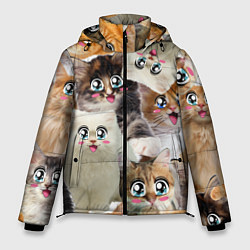 Мужская зимняя куртка Много кошек с большими анимэ глазами