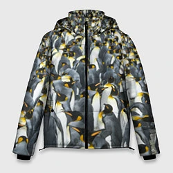 Куртка зимняя мужская Пингвины Penguins, цвет: 3D-светло-серый