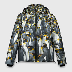 Куртка зимняя мужская Пингвины Penguins, цвет: 3D-красный
