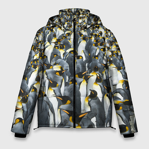 Мужская зимняя куртка Пингвины Penguins / 3D-Красный – фото 1