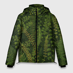 Мужская зимняя куртка Цветы Зеленые Папоротники