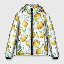 Куртка зимняя мужская Лимоны Нарисованные Акварелью, цвет: 3D-светло-серый