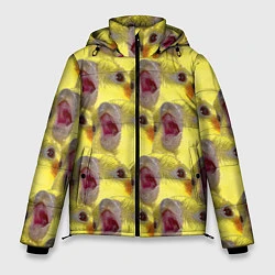 Куртка зимняя мужская Попугай Корелла Орёт Мем, цвет: 3D-черный