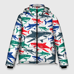 Мужская зимняя куртка Стая разноцветных акул - паттерн