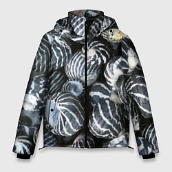Мужская зимняя куртка Паттерн из океанских ракушек