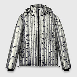 Мужская зимняя куртка Русские берёзки - роща