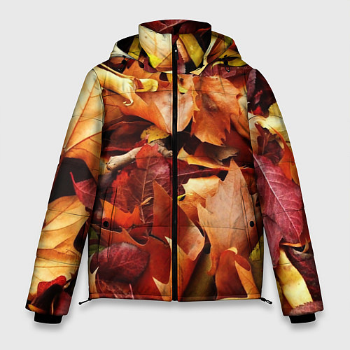 Мужская зимняя куртка Куча осенних листьев / 3D-Красный – фото 1