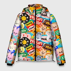 Куртка зимняя мужская Skzoo stickers characters, цвет: 3D-светло-серый