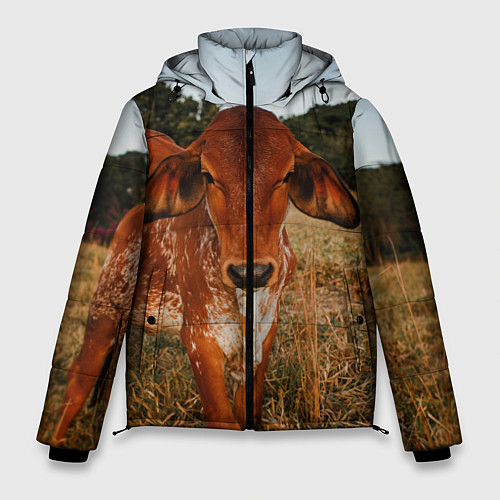 Мужская зимняя куртка Коровка на поле / 3D-Красный – фото 1