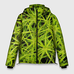 Куртка зимняя мужская Сфагнум, цвет: 3D-светло-серый