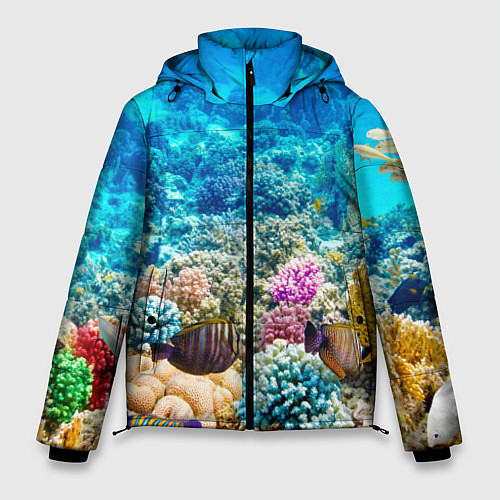 Мужская зимняя куртка Дно морское / 3D-Красный – фото 1