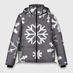 Мужская зимняя куртка Snow in grey