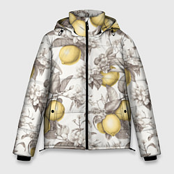 Мужская зимняя куртка Лимоны - винтаж графика: паттерн