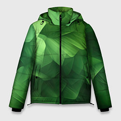 Мужская зимняя куртка Green lighting background