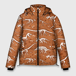 Мужская зимняя куртка Скелеты динозавров